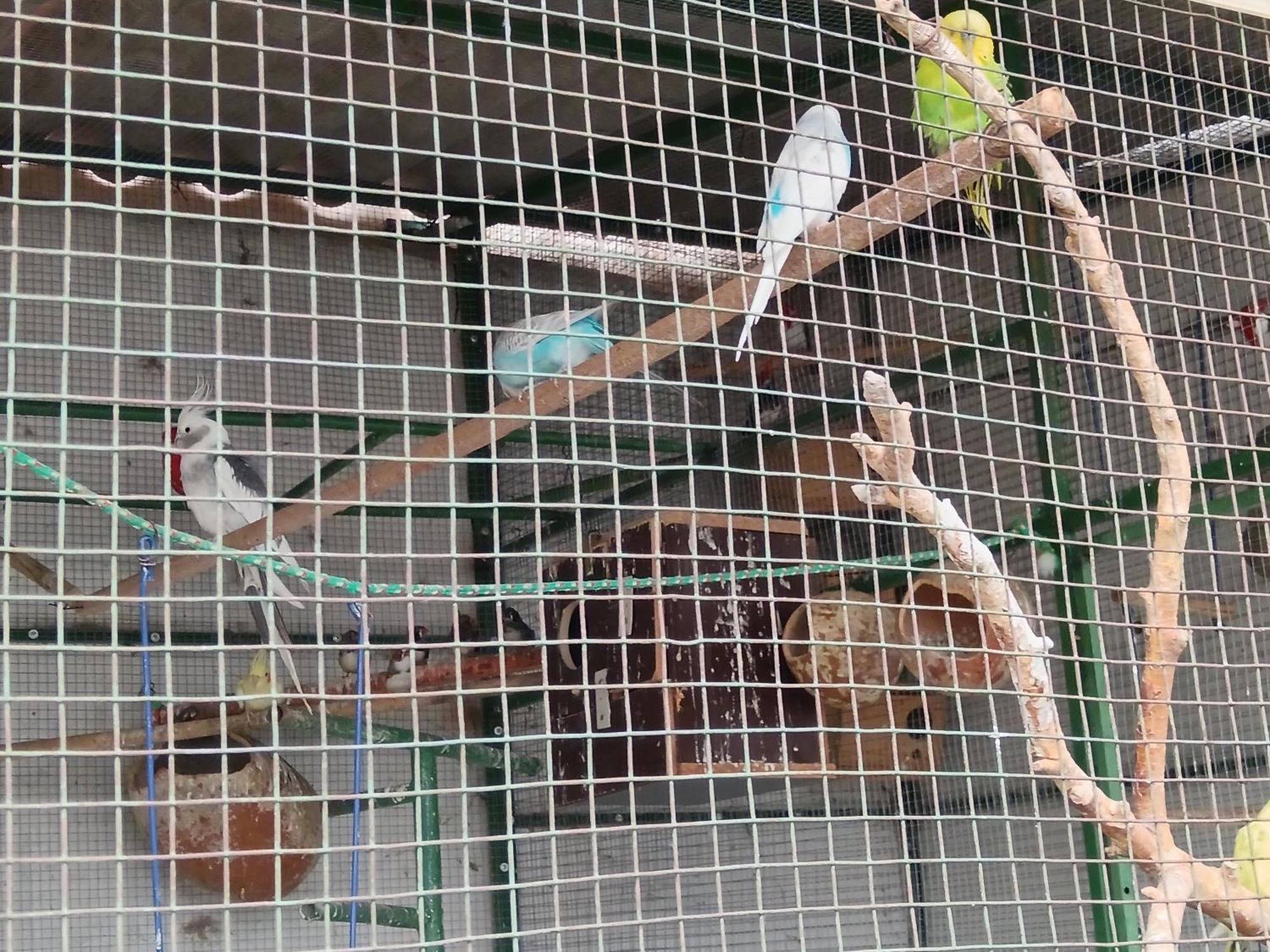 Hospedaje Ajayu 수크레 외부 사진